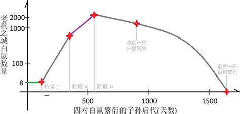 老鼠群|“老鼠之城”发展的最终结局